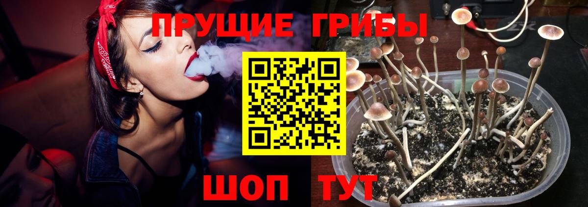 НБОМе  ГАШИШ  MDMA  МЕФ  Вход с VPN  Меф кристаллы  Бошки Шишки  КОКАИН  Орск  Канабис  APVP СОЛЬ кристаллы 